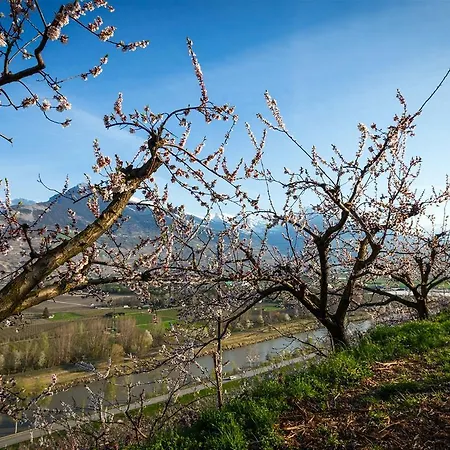 Le Pracondu 2p6 Nendaz